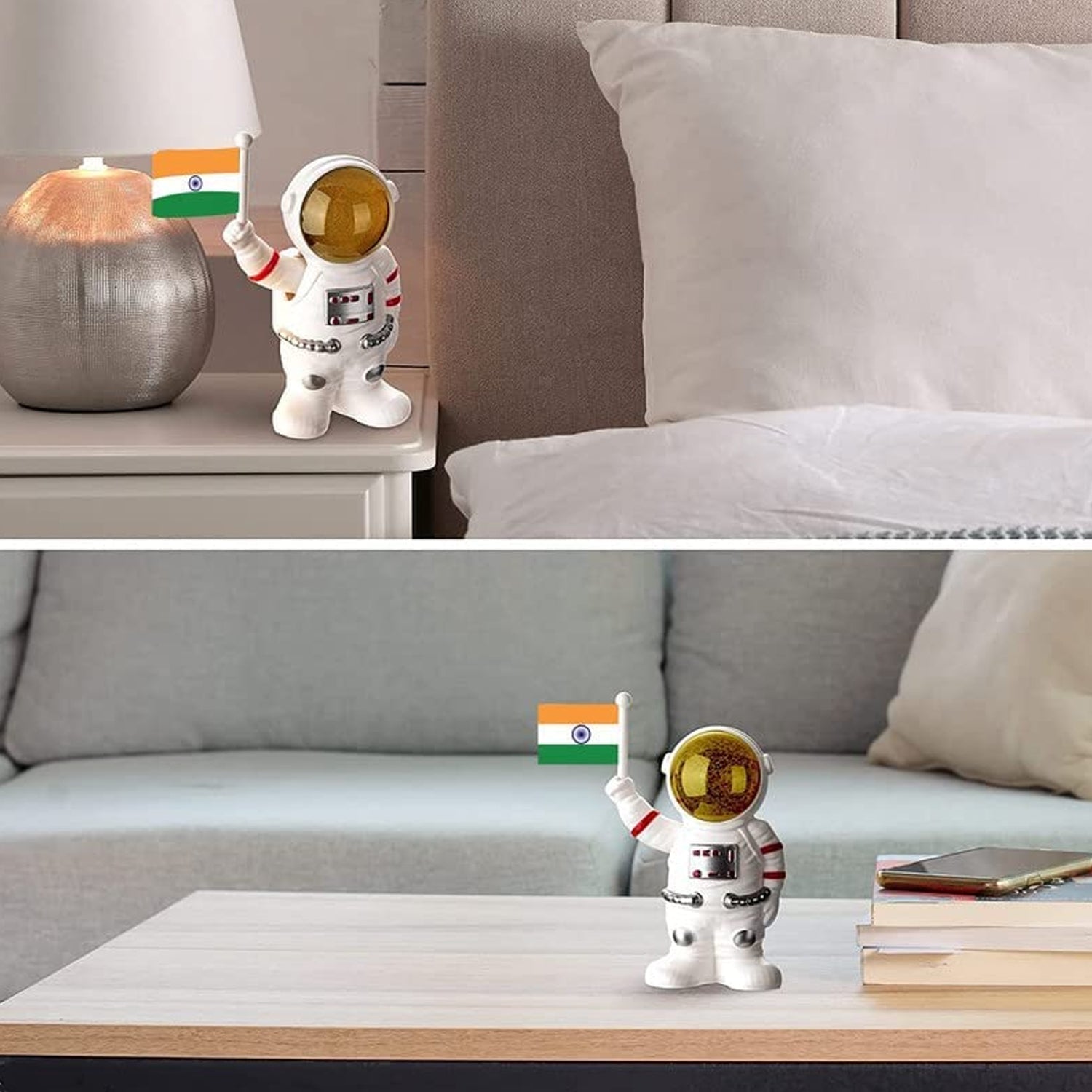 Astronaut of India Astronaut of India